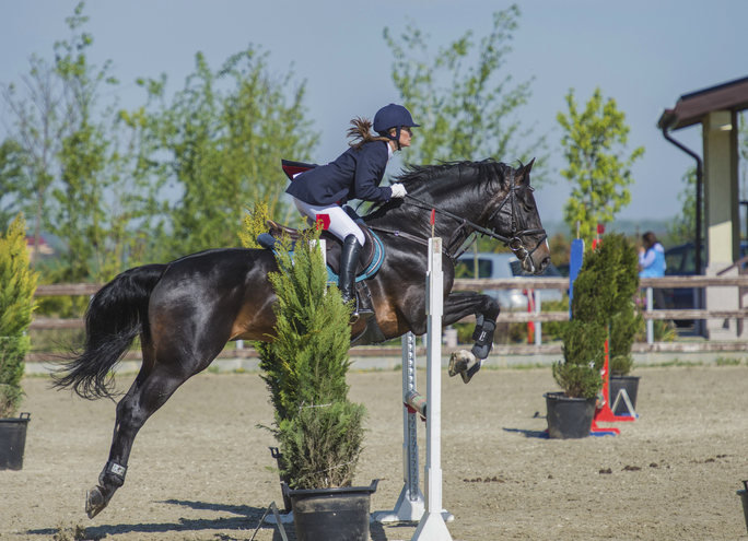 Circuitul Salonul Calului, editia a IV a (1)