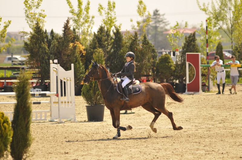 Circuitul Salonul Calului, editia a IV-a (2)