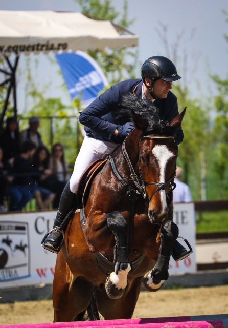 Circuitul Salonul Calului, editia a IV-a (6)