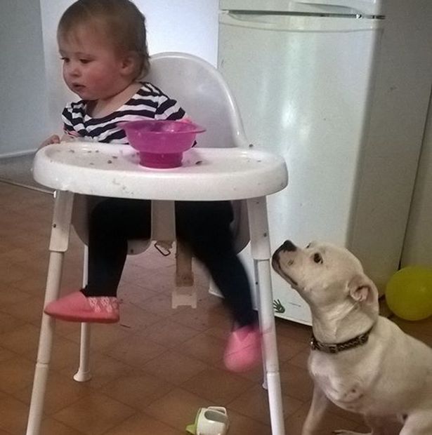 Ella-Peggie-born-with-only-one-arm-and-her-three-legged-puppy-Snowy (1)