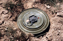 50 de mine antipersonal au fost gasite langa un traseu turistic din Bacau