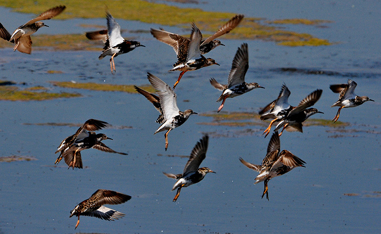 bike ride dsc5917-peterlengyel