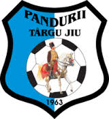 Încasările de la meciul Pandurii – Petrolul, donate victimelor de la Colectiv