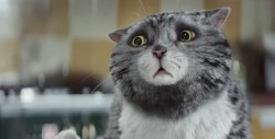 Mog’s Christmas Calamity  – cea mai viralizată reclamă de sărbători – VIDEO
