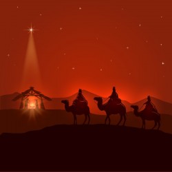 Cristian Văduva – Scoală gazdă