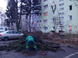 Brașov: Furtună puternică pe timpul nopții