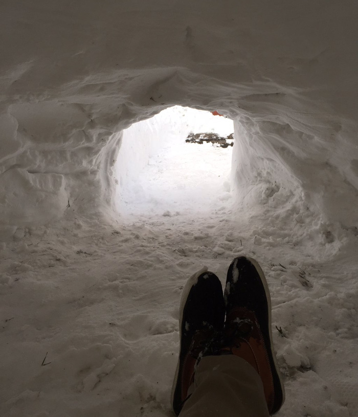 IGLU (5)