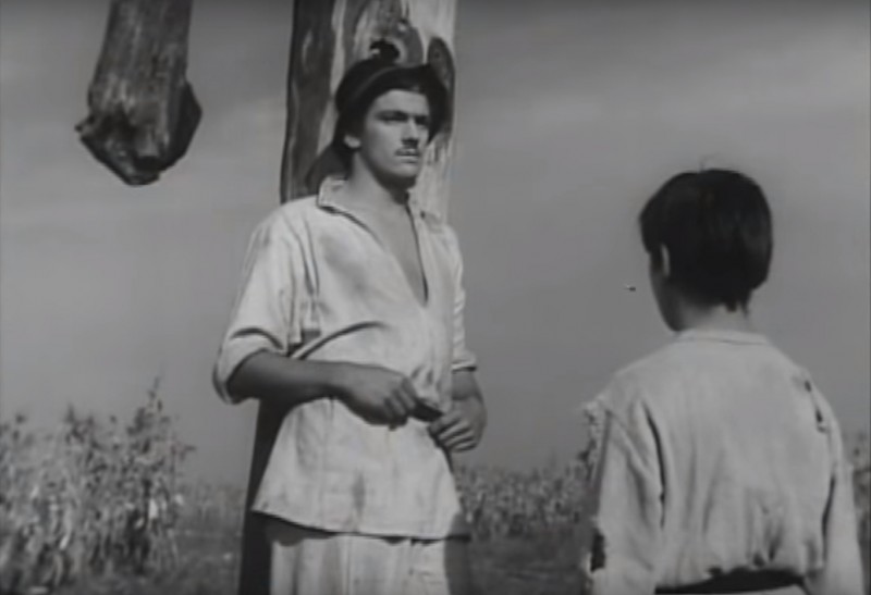 florin piersic ciulinii baraganului 1957