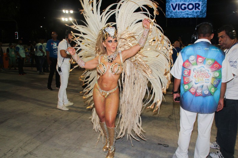 Carnaval Rio 2016 Andre Luiz Moreira Shutterstock.com (7)