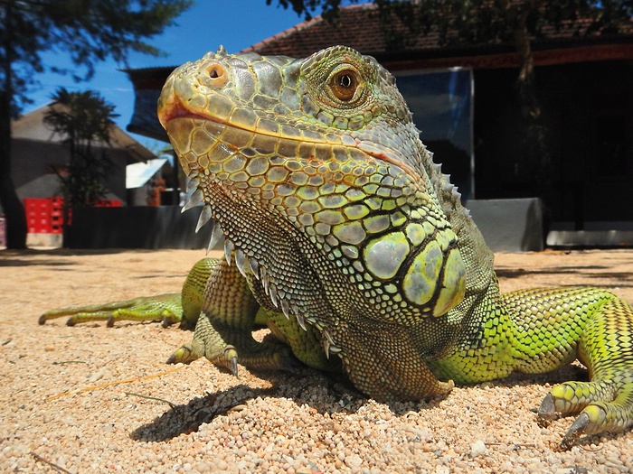 National Geographic Kids concurs foto (12)