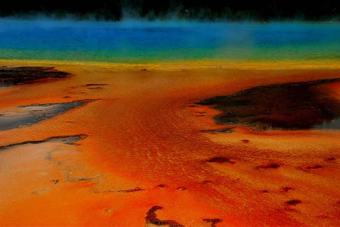 National Geographic Kids concurs foto (6)