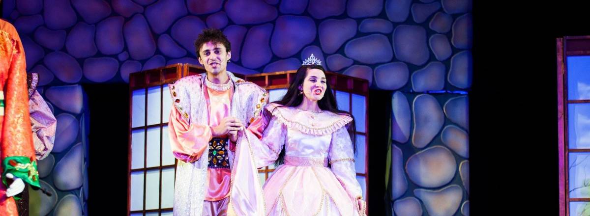 Printesa-si-broscoiul-tandarica