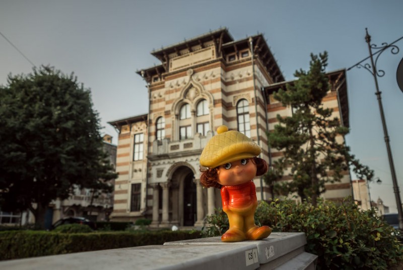 marcel strengarul (11)