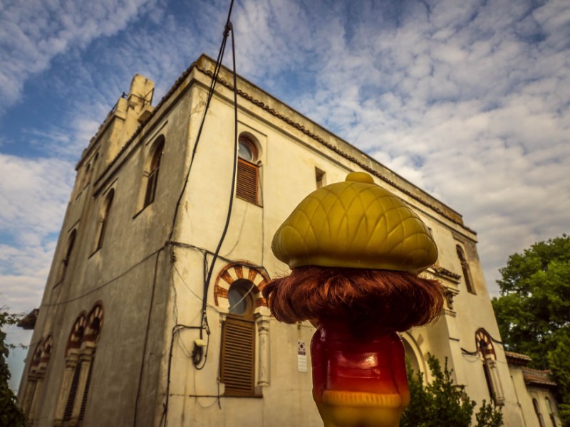 marcel strengarul (8)