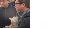 Doi copii au fost salvaţi de sub dărâmături, în Taiwan, datorită pisicii familiei