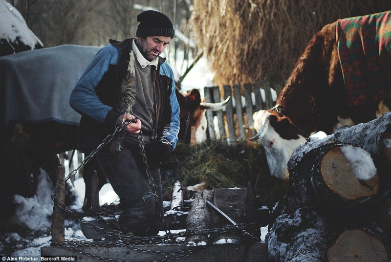 maramures in presa britanica (15)