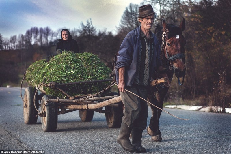 maramures in presa britanica (3)