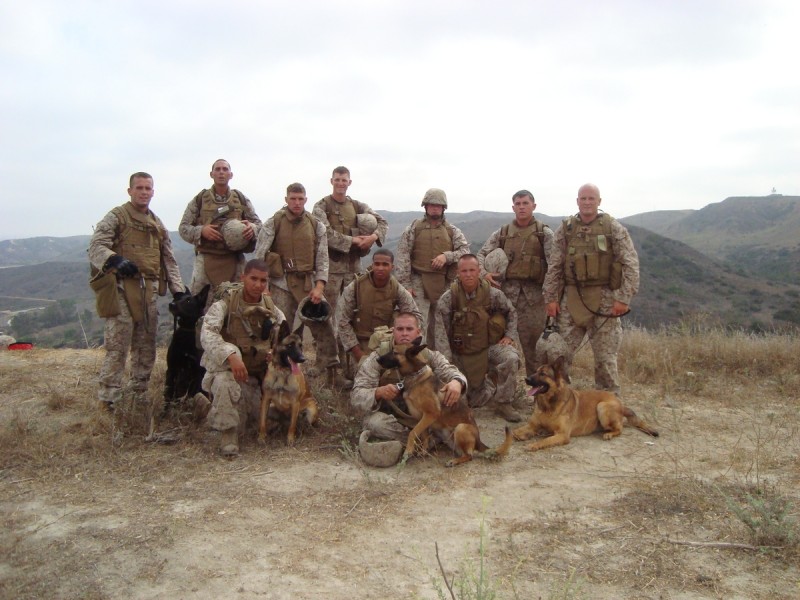Lucca si ceilalti caini soldati