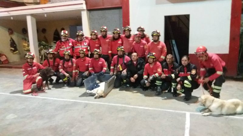 caine erou Ecuador (6)