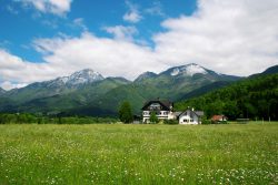 5949315891_785b9a7d17_b