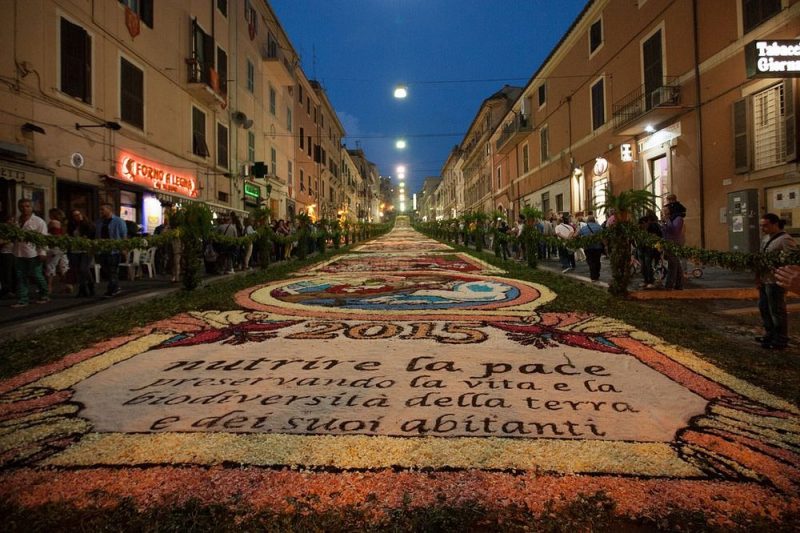 festivalul infiorata (3)