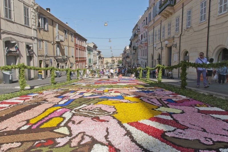 festivalul infiorata (7)