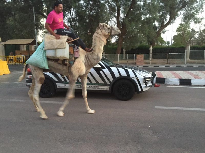 record traversarea planetei (19)