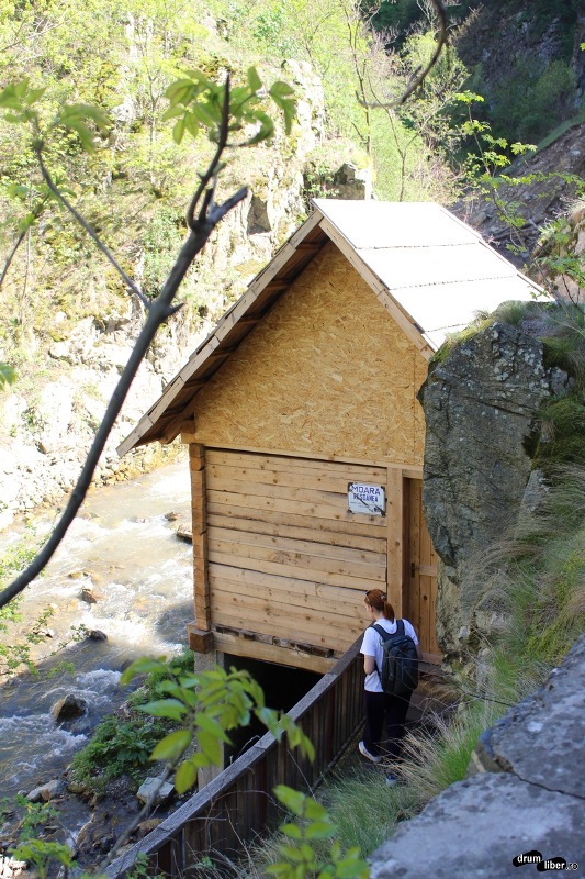 Morile de Apa de la Rudaria (10)