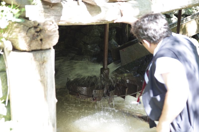 Morile de Apa de la Rudaria (13)