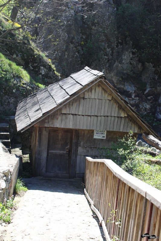 Morile de Apa de la Rudaria (6)