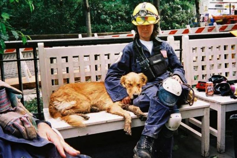 caine erou 11 septembrie (4)