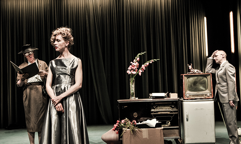 casatoria-mariei-braun-1