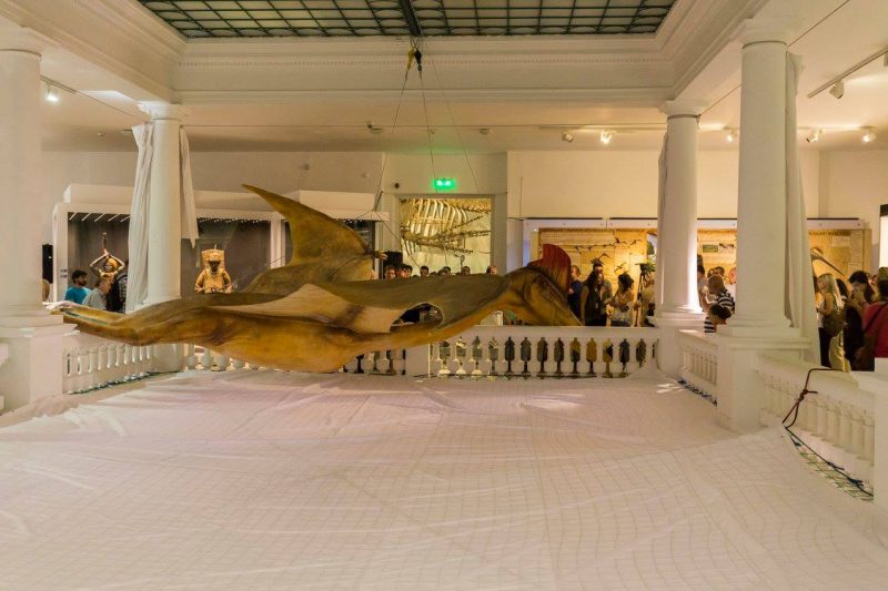 cel mai mare dinozaur zburător din lume (7)