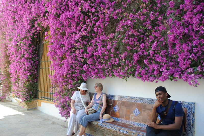 ????????????????????????????????????