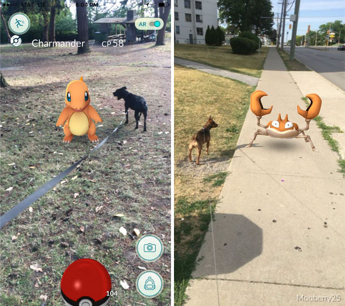 pokemon-go-caini (4)