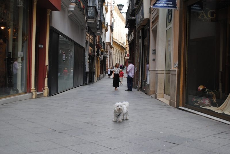 strazi Sevilla (1)