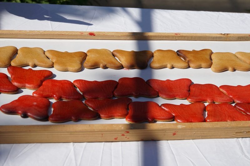 turta dulce Targu Secuiesc (8)