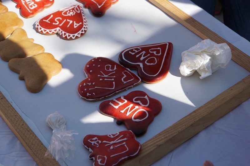 turta dulce Targu Secuiesc (9)