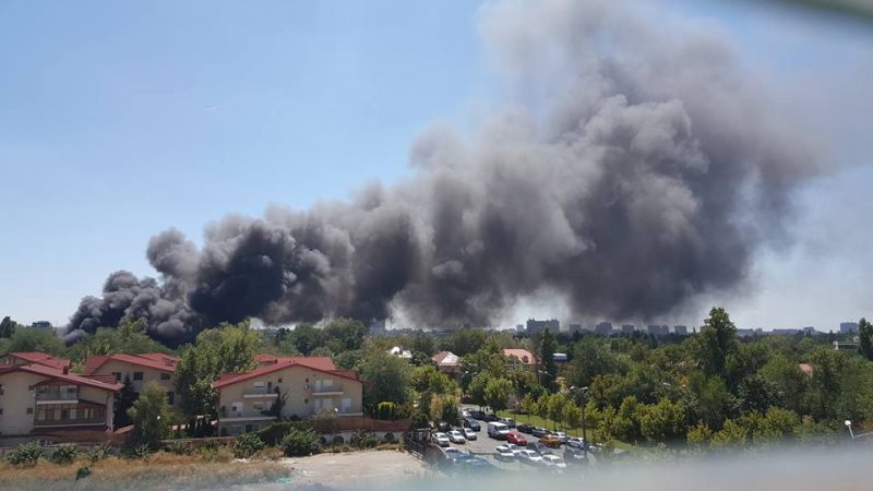 13876255_1011198015667412_7731318517115668497_n