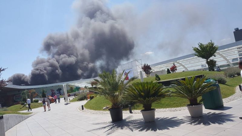 13882124_1011197985667415_7421579841381014698_n