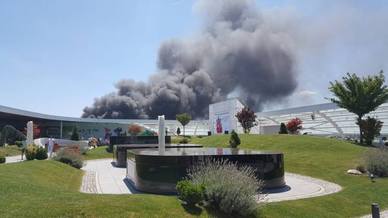 13932800_1011198039000743_4042373300394742783_n