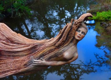Sculpturi în lemn purtat de ape – GALERIE FOTO