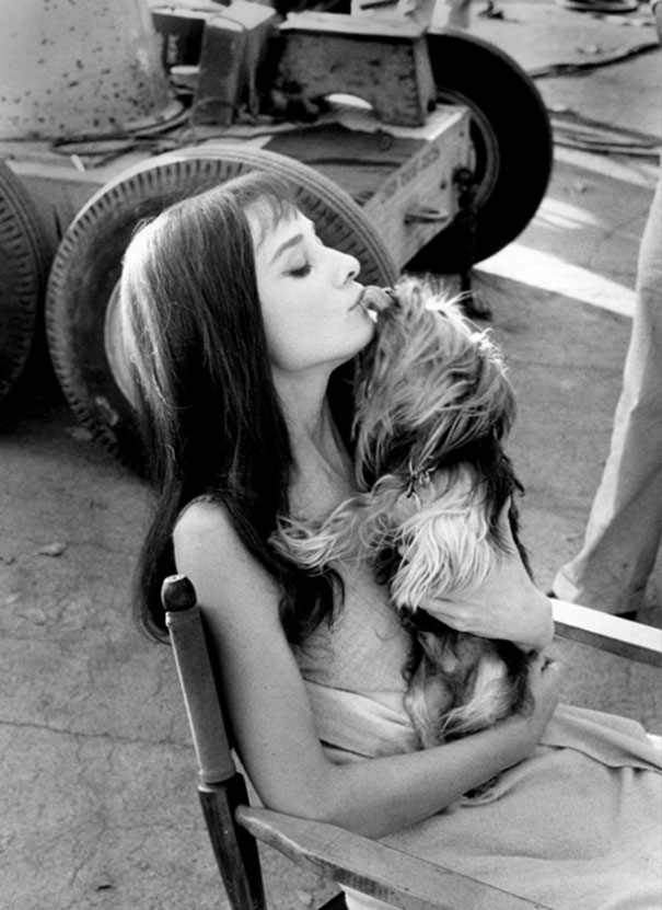 animale-de-companie-cu-stapani-celebri-3