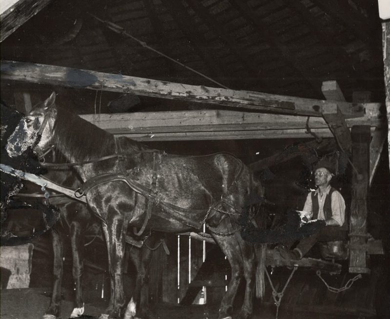 folosirea-cailor-in-mina-la-praid-imagini-arhiva