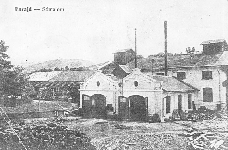 salina-praid-in-1918