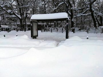 București: Meteorologii transmit că luni se va așterne un strat de zăpadă de câțiva centimetri