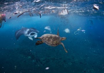 Prima conferinţă ONU dedicată oceanelor, la New York