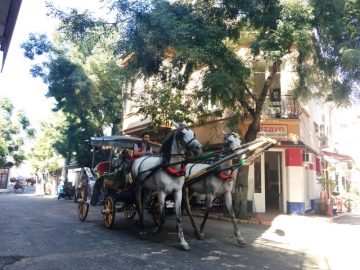 Insula Prinţilor, locul de basm unde maşinile sunt interzise – GALERIE FOTO