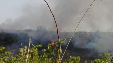 Incendiu lângă Cetatea Poenari