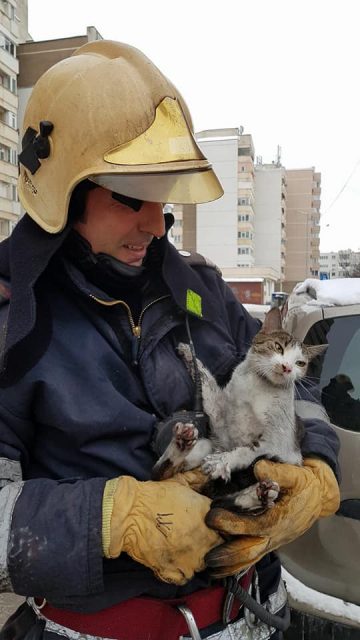 BACĂU: O pisică a fost salvată din foc de pompieri